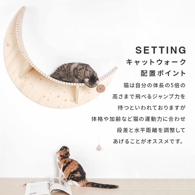 Amazon.co.jp: MYZOO STAR キャットステップ 星モチーフ 爪とぎ