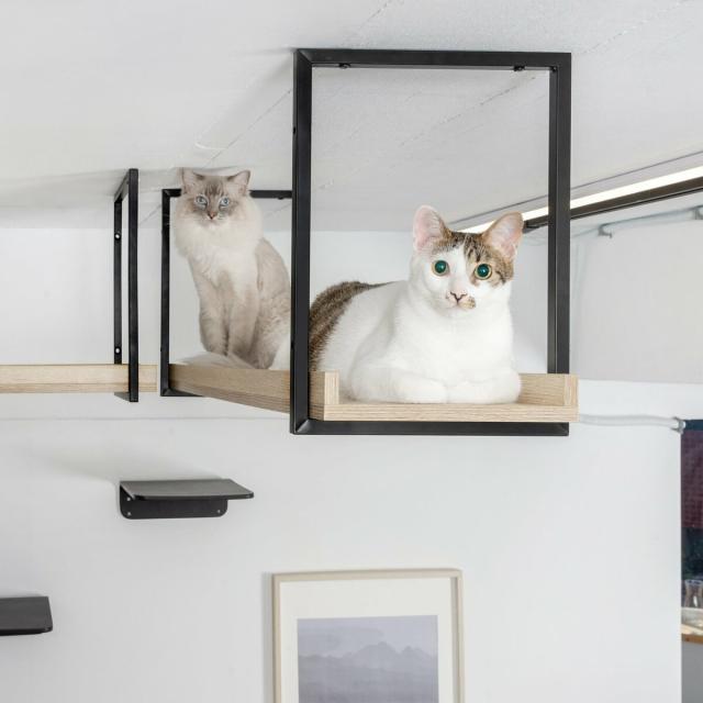 MYZOO   アベニュー  クリア キャットウォーク    ホワイト 楽天市場】【楽天お買い物マラソン期間中ポイント5倍】MYZOO