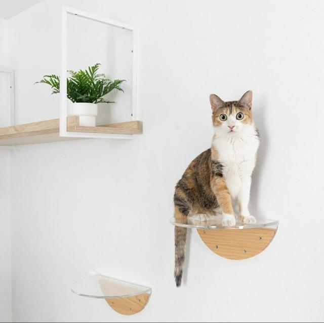 MYZOO マイズー AVENUE アベニュー CLEAR クリア おしゃれ