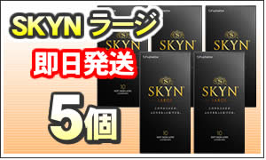 スキンラージ5個