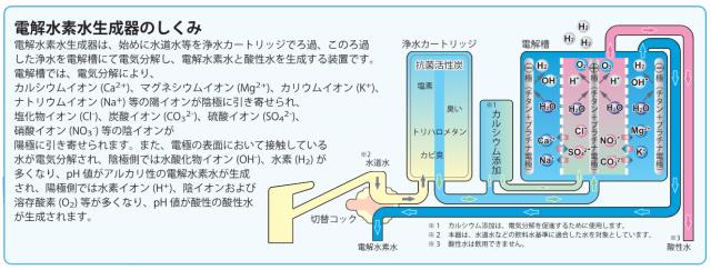 電解水素水生成器の仕組み