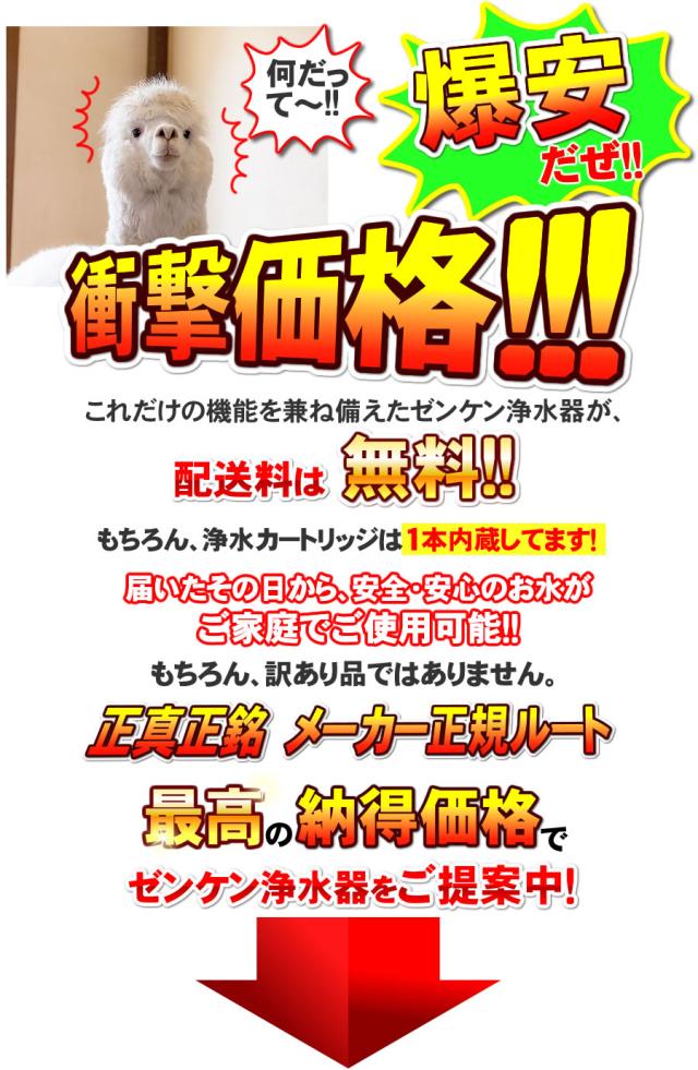 ゼンケンアクアセンチュリーステンレス MFH-110を衝撃価格で