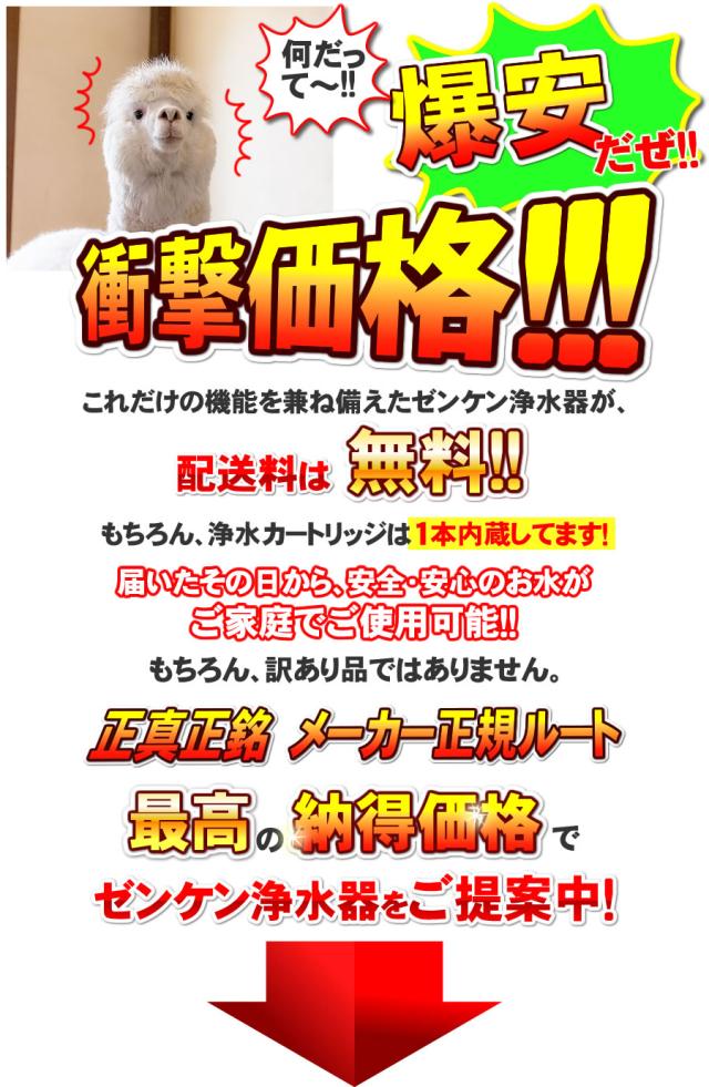 C-KMD-50-Z（旧品番：C-KMD-50）（鉛除去）　ゼンケン 浄水器　アクアホーム　ファミリースプリング2（ビルトインタイプ）対応　デラックスタイプ　浄水フィルター　交換カートリッジ　-0048-