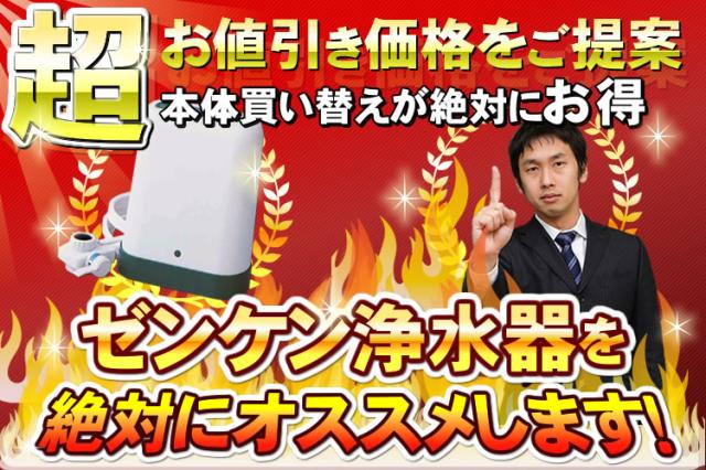 C-KMD-50-Z（旧品番：C-KMD-50）（鉛除去）　ゼンケン 浄水器　アクアホーム　ファミリースプリング2（ビルトインタイプ）対応　デラックスタイプ　浄水フィルター　交換カートリッジ　-0048-