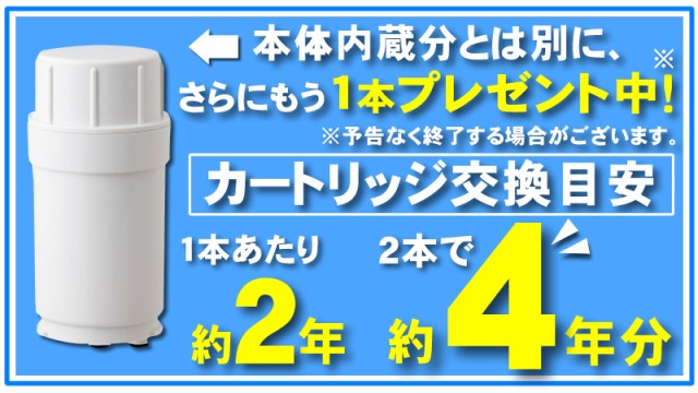 水素水 水素水生成器 ピュアナノZX-05 電解水素水と次亜塩素酸水 水素水 水素水生成器 ピュアナノZX-05 電解水素水と次亜塩素酸水
