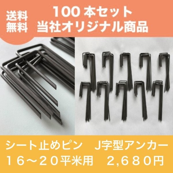 Jピン100