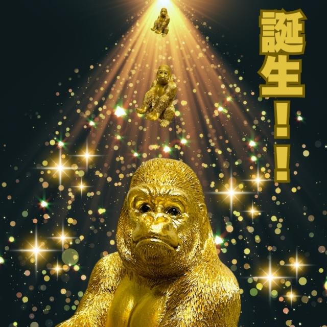 金ゴリラの説明