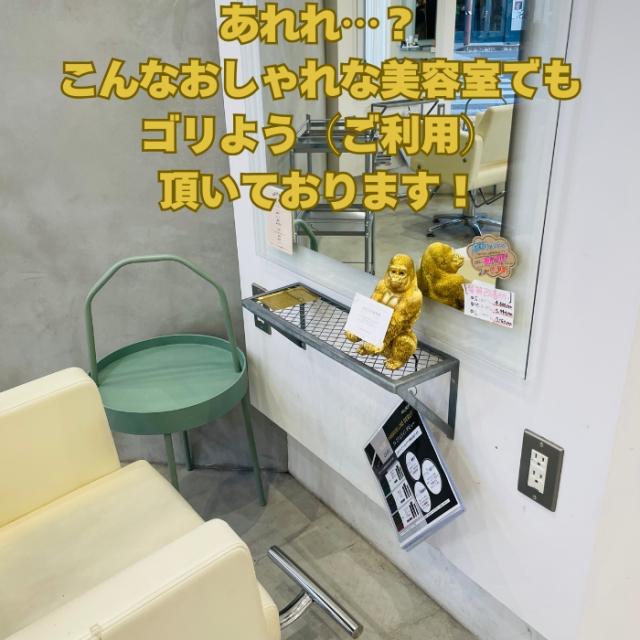 金ゴリラの説明