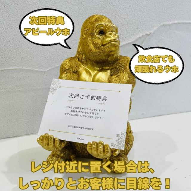 金ゴリラの説明