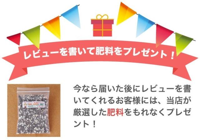 レビューを書いて肥料をプレゼント