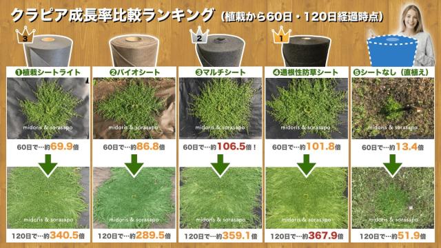 クラピア専用シートの成長ランキング