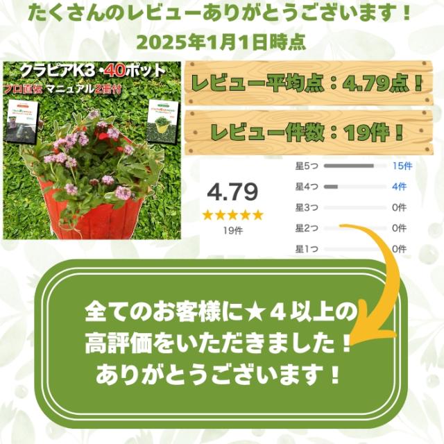 レビュー件数