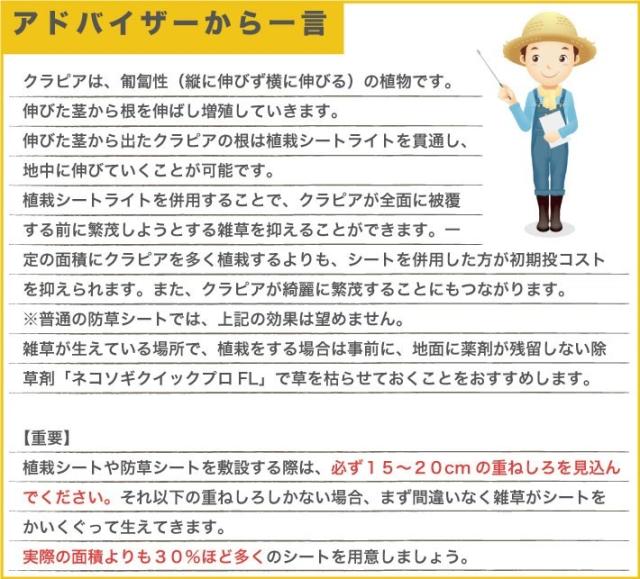 アドバイザーからのアドバイス