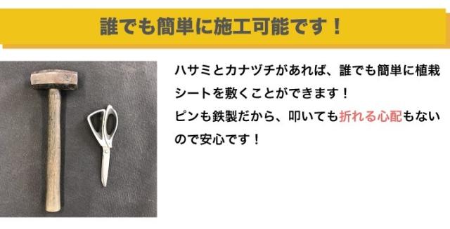 植栽シートは誰でも簡単に施工出来ます。