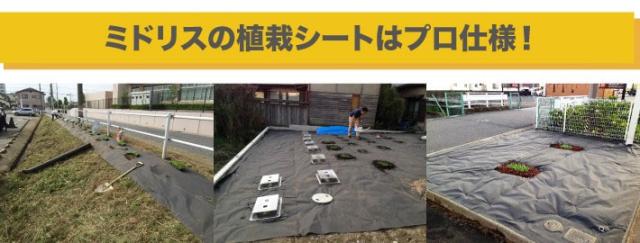 ミドリスの植栽シートはプロ仕様