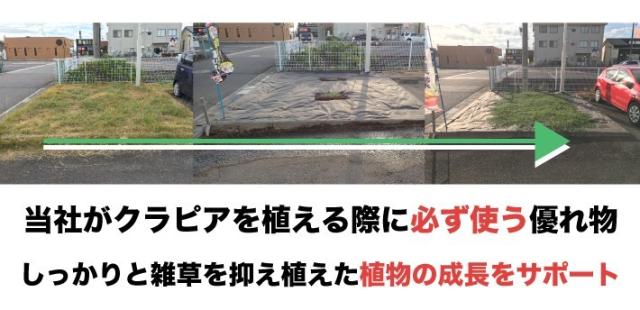 クラピアを植える際に必ず使う植栽シート