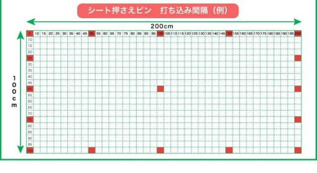 ピンを打ち込み目安2