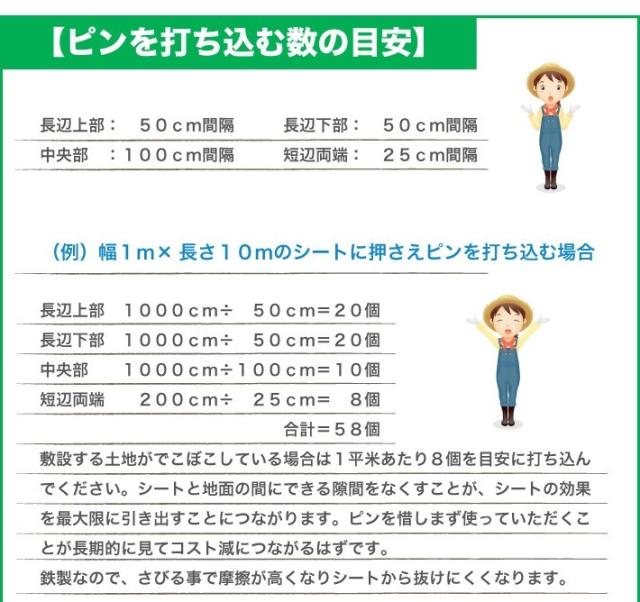ピンを打ち込み目安1