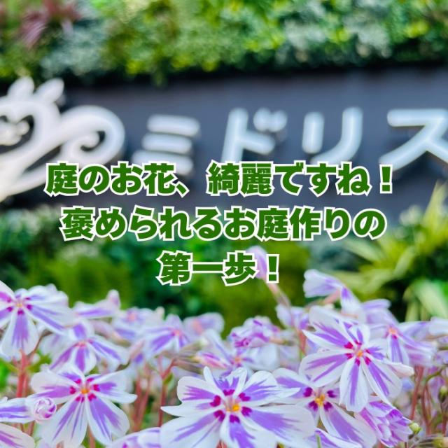 芝桜のイメージ