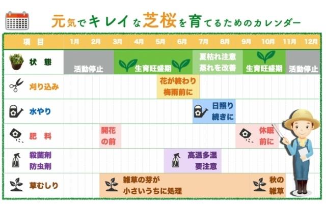 広がった後の育て方