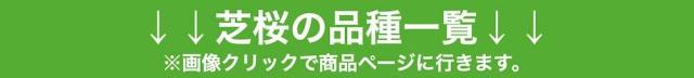 芝桜の商品ラインナップ