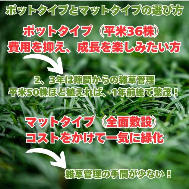 ポットタイプとマットタイプの選び方