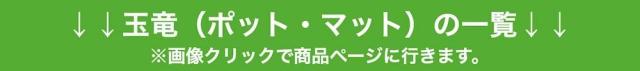 タマリュウの商品ラインナップ