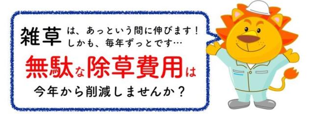 雑草はあっという間に伸びます　無駄な除草費用を今年から削減しましょう