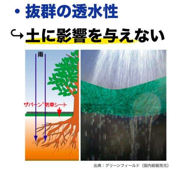 ザバーンの概要3