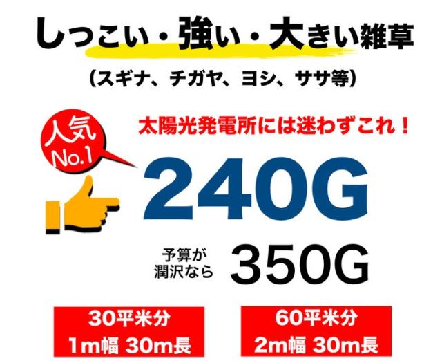 240Gのラインナップ