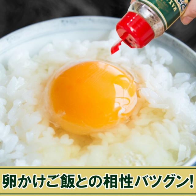 マキシマム 詰替え用 スパイス アウトドア キャンプ バーベキュー BBQ 万能調味料