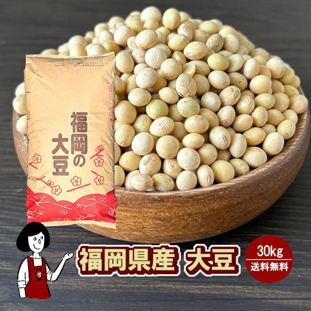 福岡県産大豆