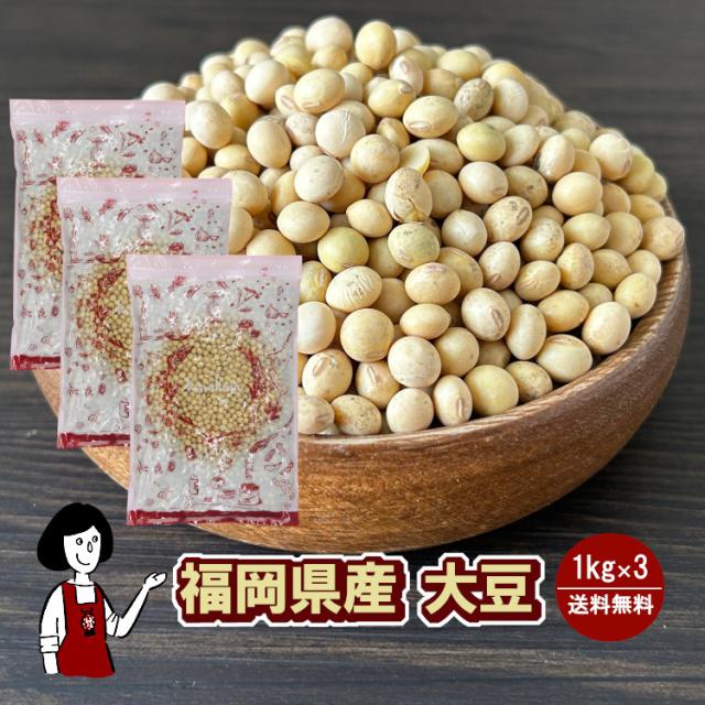 福岡県産大豆