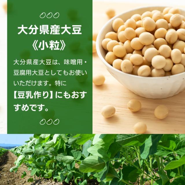 大豆 国産 豆乳 味噌 豆腐