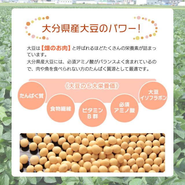 大豆 国産 豆乳 味噌 豆腐