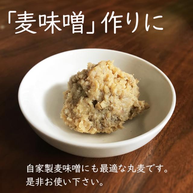 国産 特選 大麦 食物繊維 βグルカン スープ サラダ 麦ごはん 小豆粥 雑炊 リゾット ミネストローネ 小分け
