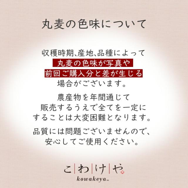 丸麦の色味について