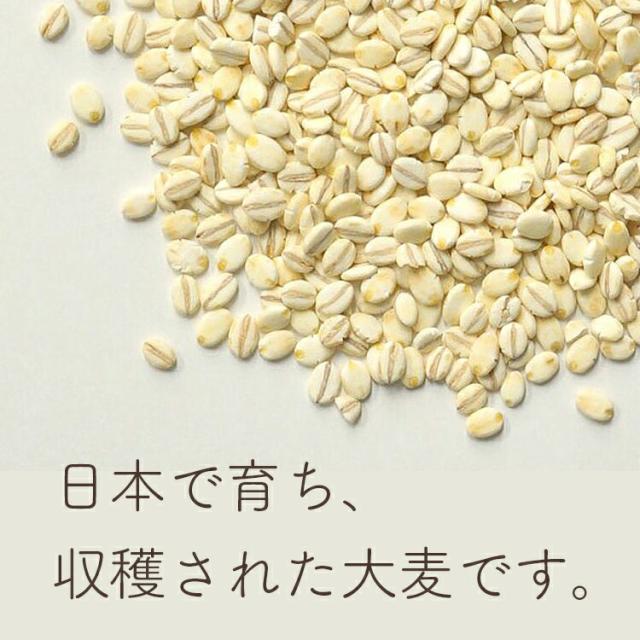 特選押麦 / 国産 送料無料 チャック付 特選 大麦 食物繊維 βグルカン こわけや