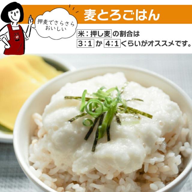 特選押麦 / 国産 送料無料 チャック付 特選 大麦 食物繊維 βグルカン こわけや