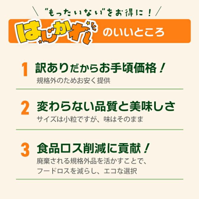 保存料無添加で安心の種抜きプルーン