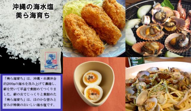 塩 小袋 沖縄の海水塩 美ら海育ち