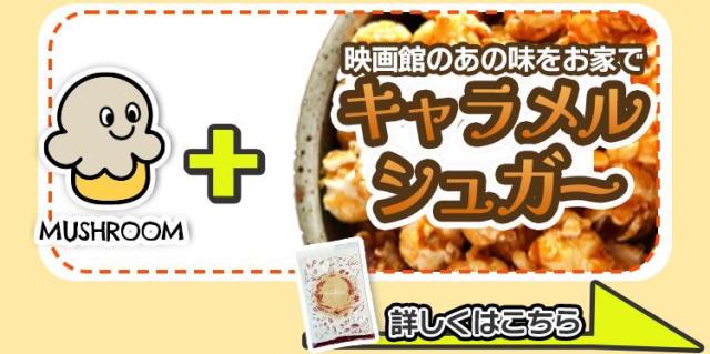 マッシュルーム × キャラメルシュガー