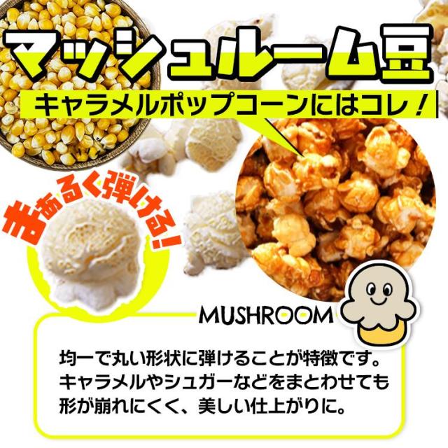 ポップコーン コーン とうもろこし 種 お菓子