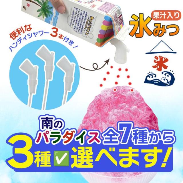 南のパラダイス 氷蜜 果汁入りシロップ