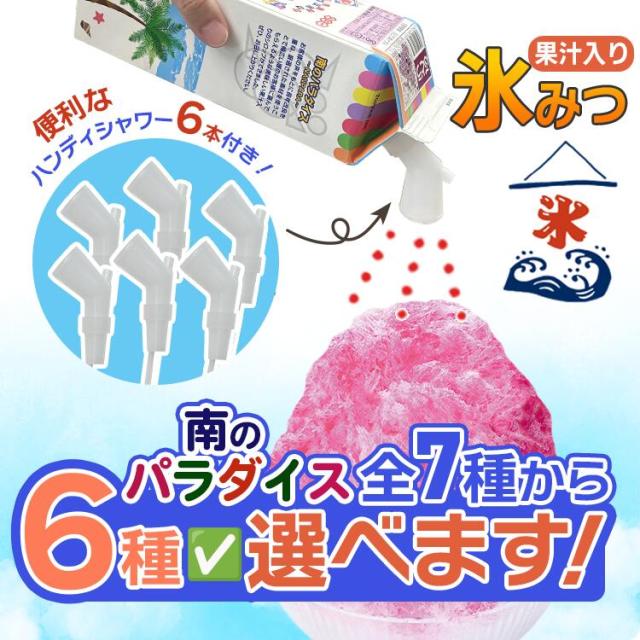 南のパラダイス 氷蜜 果汁入りシロップ