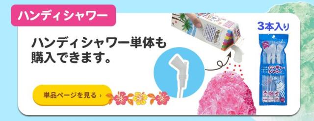 南のパラダイス 氷蜜 果汁入りシロップ