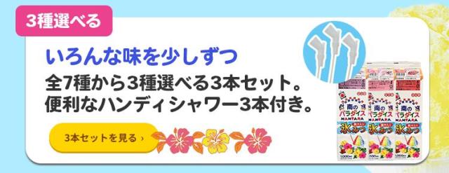 南のパラダイス 氷蜜 果汁入りシロップ