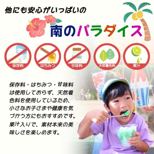 南のパラダイス 氷蜜 果汁入りシロップ