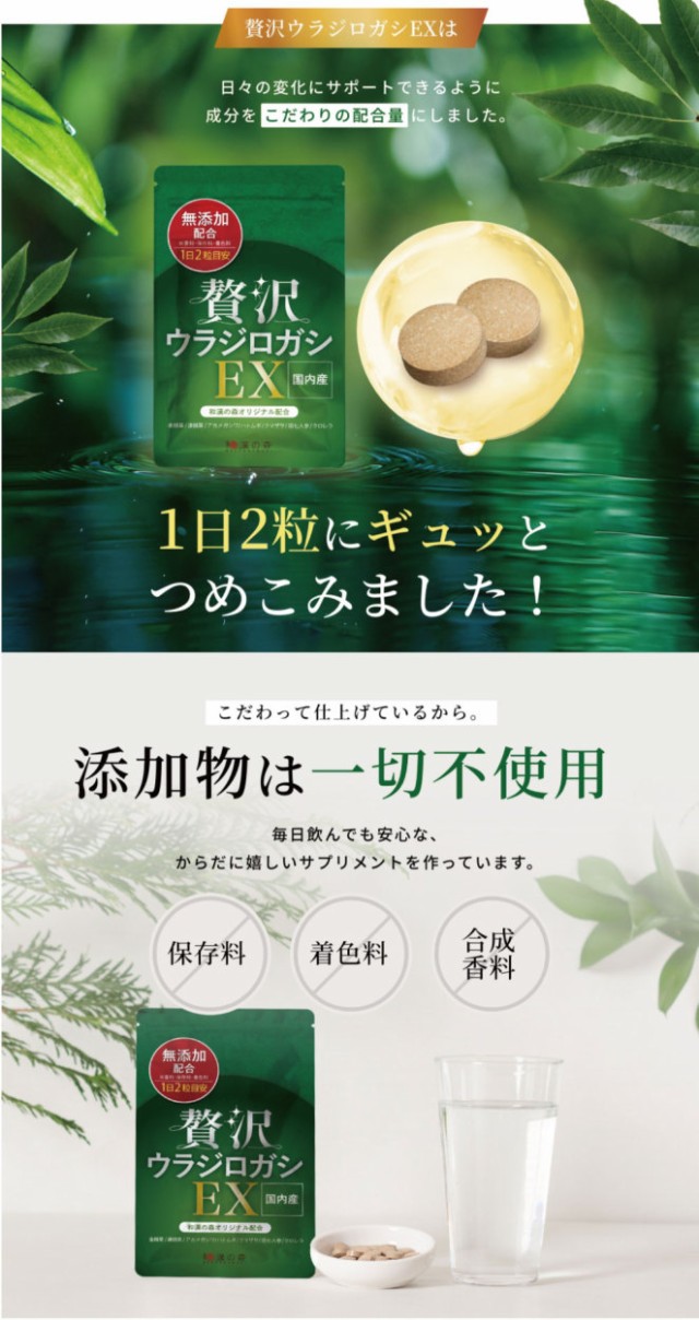 くらしを楽しむアイテム ウラジロガシ サプリ サプリメント 胆石 結石 贅沢ウラジロガシEX 流石 60 粒 裏白樫 ウラジロガシ茶 うらじろがし  流石茶 たんせき 排石 けっせき 薬 はいせき 胆石症 胆のう うらじろがし茶 潤勝散 胆嚢炎