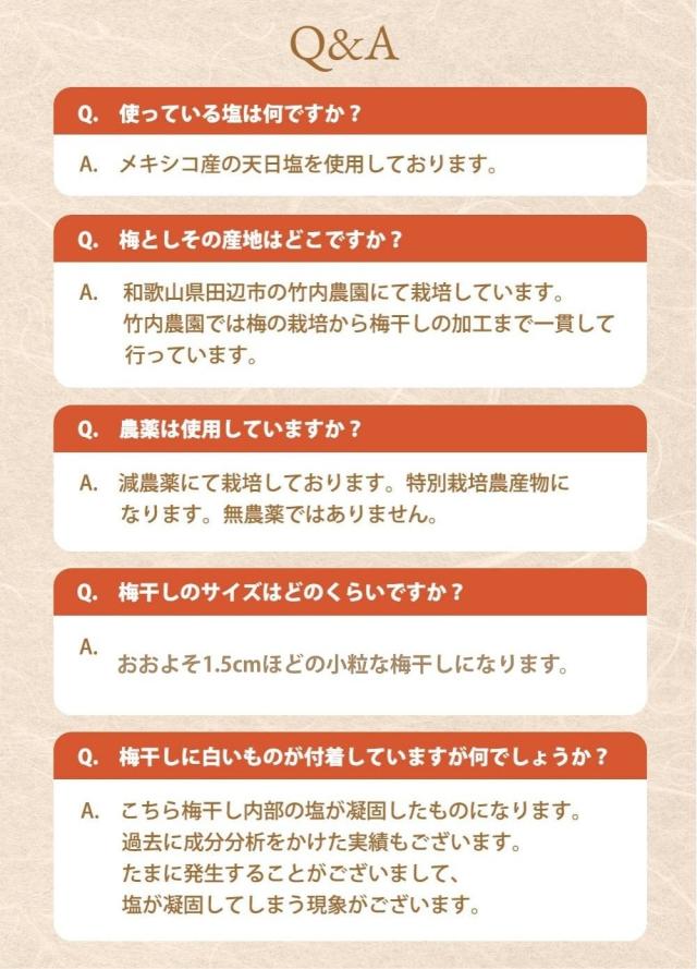 画像11